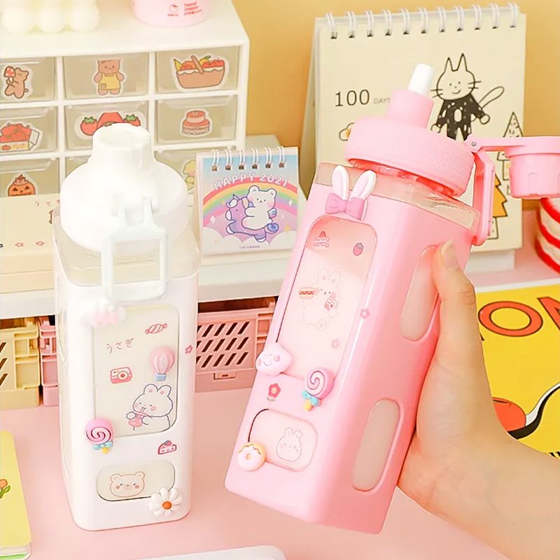 Kawaii Cute Water Bottle with Lid Straw (700 ml)