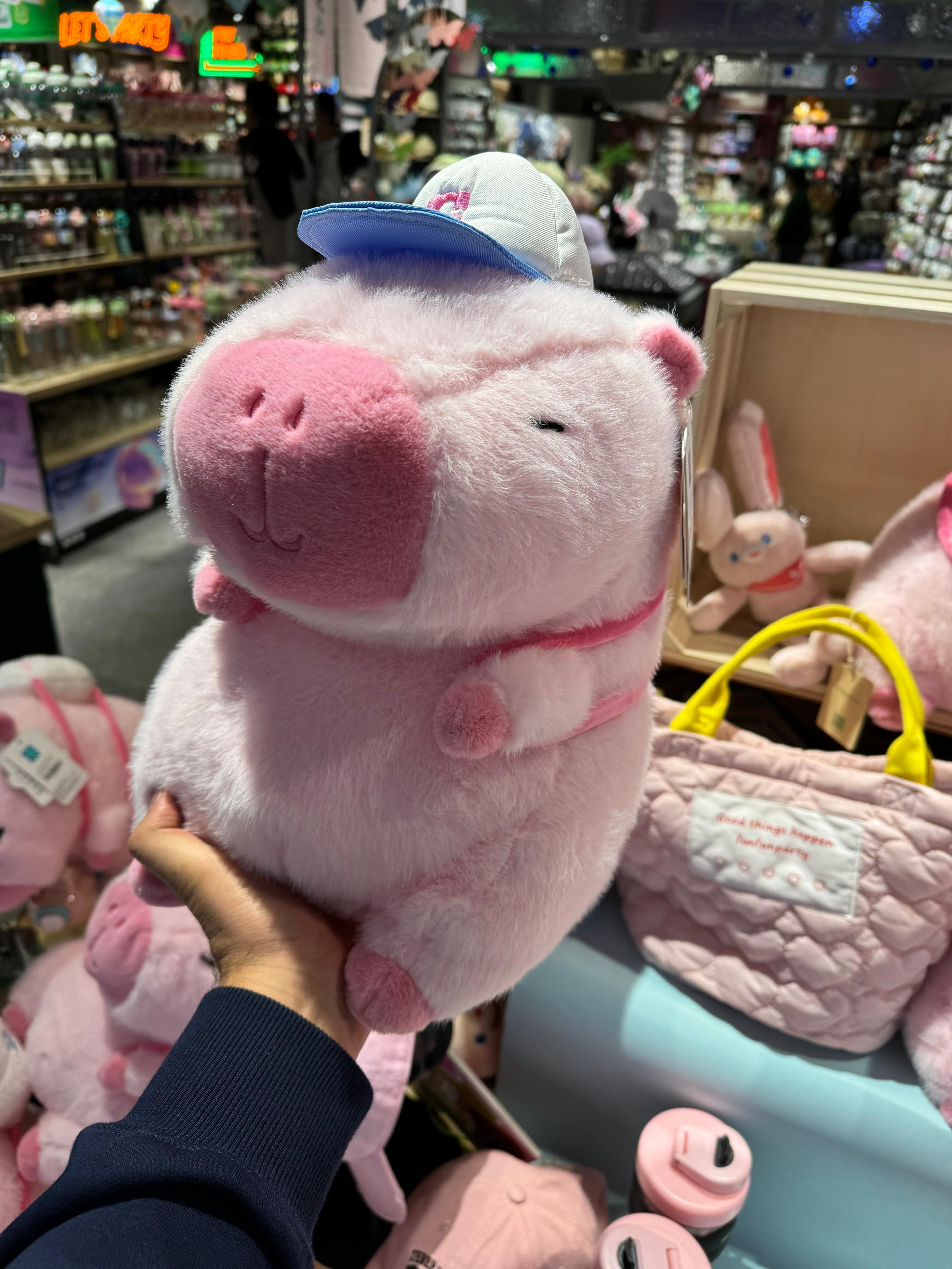 Cute Fully Filled Pink Fur Capybara Plush (Limited Edition)