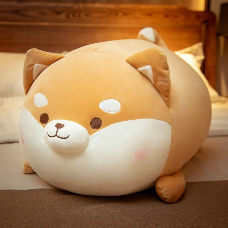 Plumpy Blushing Shiba