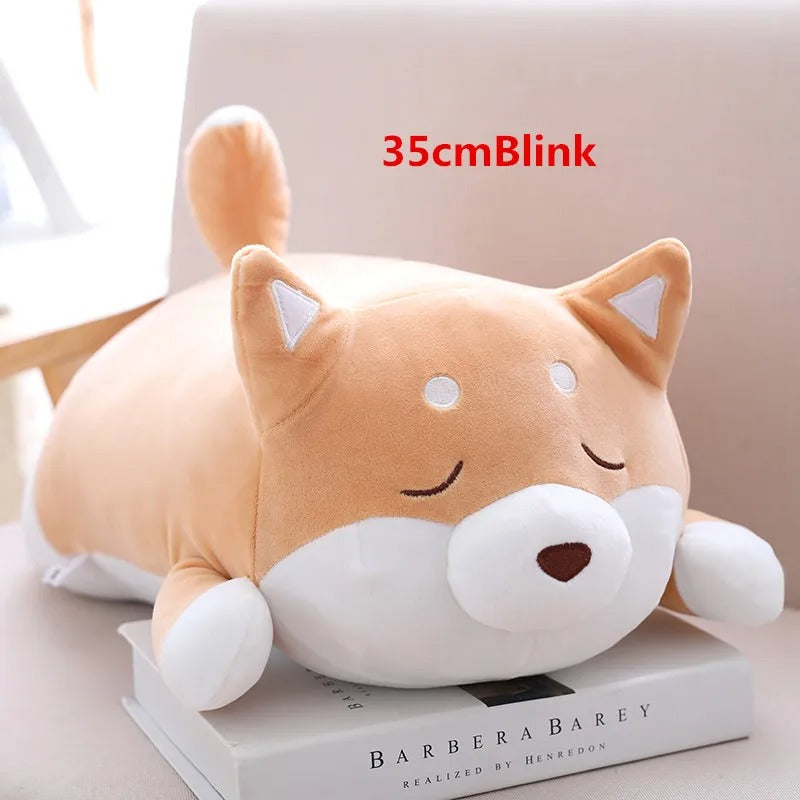 Chubby Shiba Inu